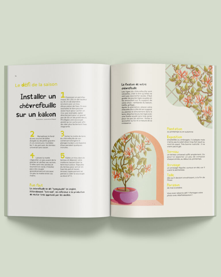 Article : défi de la saison. Illustration éditoriale pour le magazine Veìr présentant des fleurs en pot.